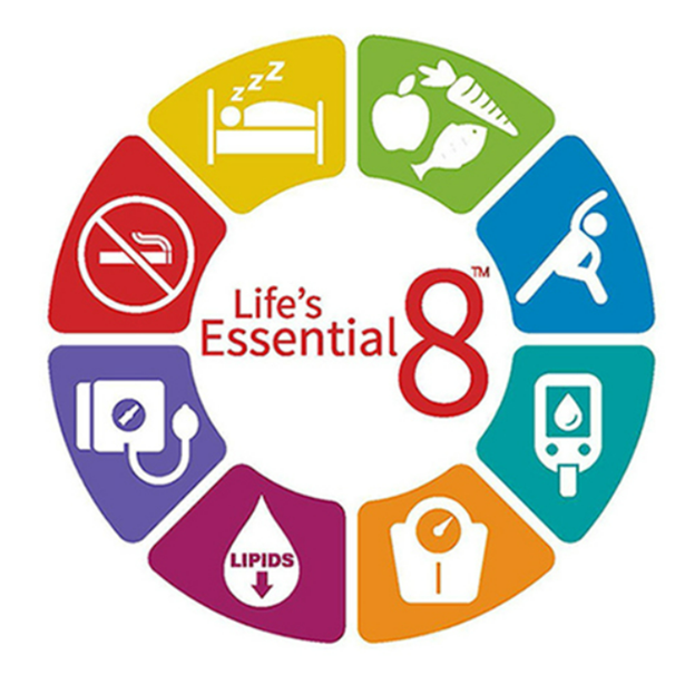 TAP Talk Sep 2024 – Life’s Essential 8